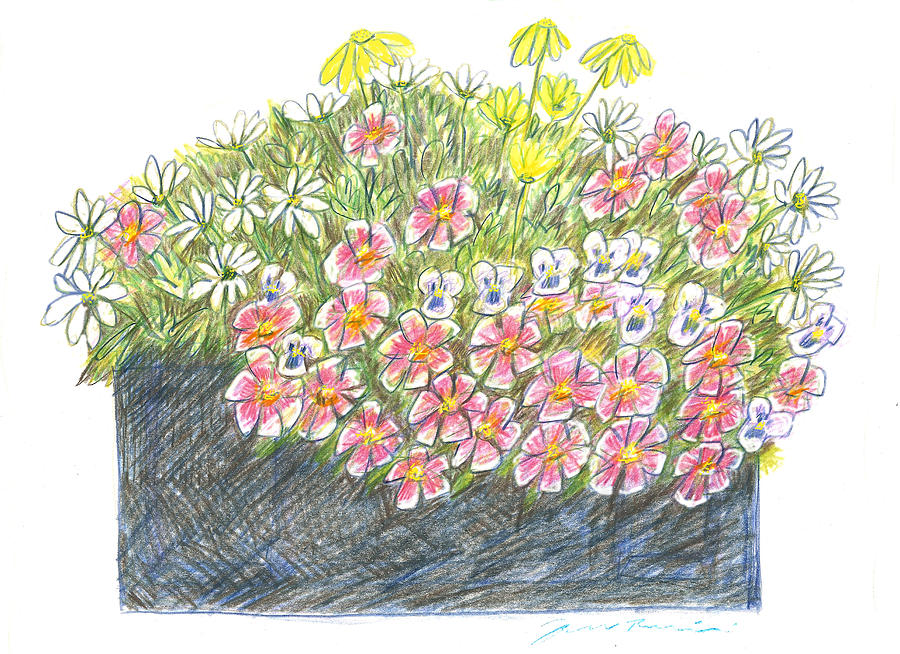 Boardwalk Flower Box Drawing by Jean Pacheco Ravinski