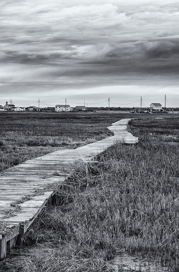 Boardwalk in Black and White Photograph by Tom Singleton