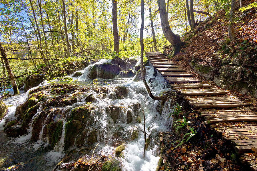 Boardwalk in Plitvice falling lakes national park Photograph by Brch Photography