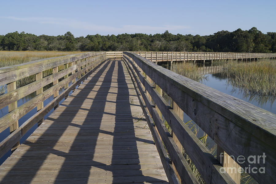 Boardwalk Over the Salt Marsh Photograph by MM Anderson