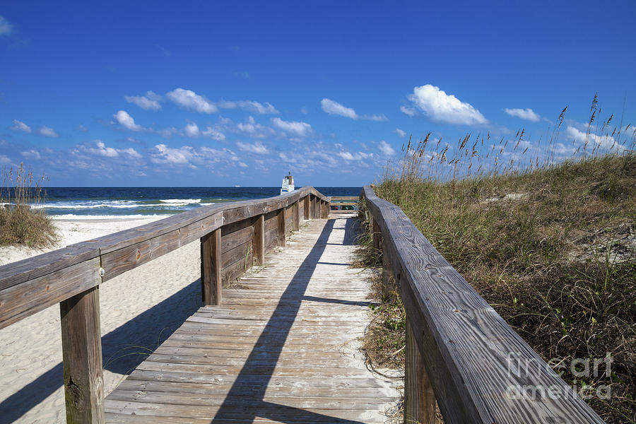 Nature Photograph - Boardwalk to Paradise by Diane Macdonald