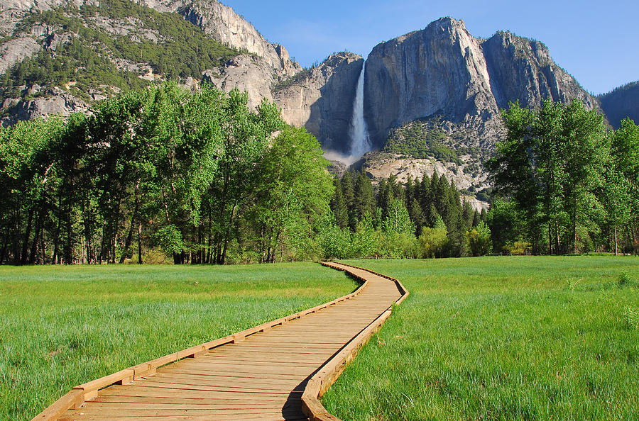 Boardwalk to Yosemite Falls  Photograph by Lynn Bauer