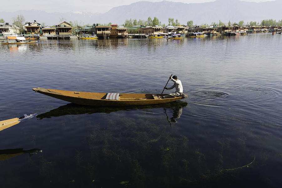 Boat among the weeds - man rowing his boat in the Dal Lake Photograph by Ashish Agarwal