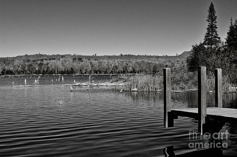 Boat Dock Black and White Photograph by Gwen Gibson