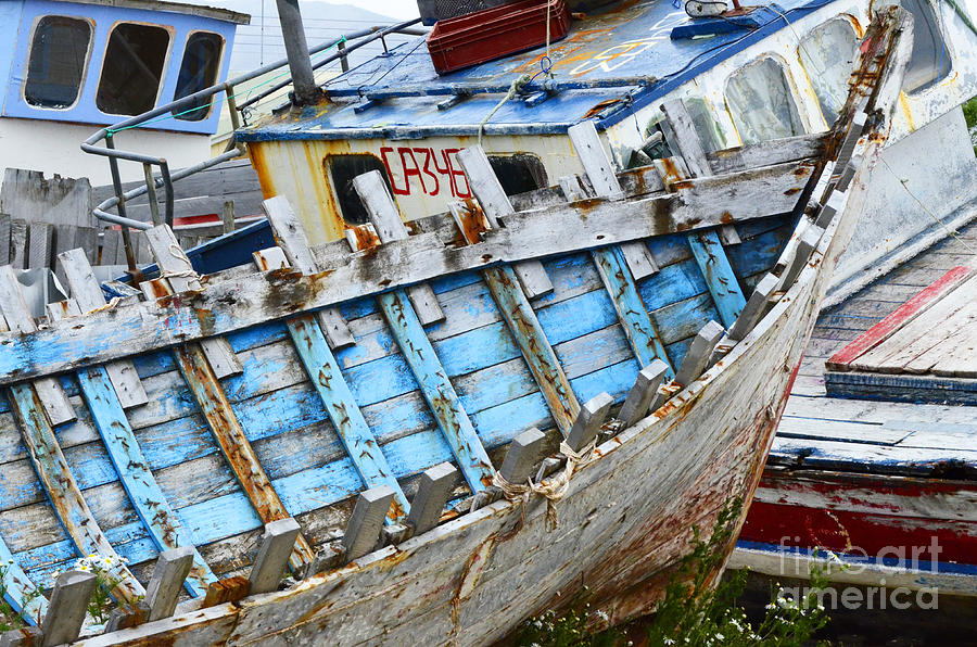 Boat Photograph - Boat Graveyard Peurto Natales Chile 2 by Bob Christopher