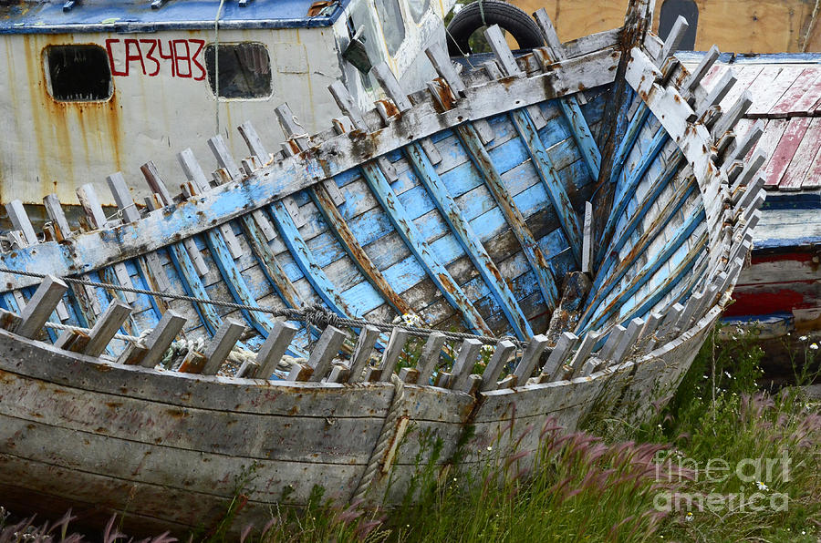 Boat Graveyard Peurto Natales Chile 3 Photograph by Bob Christopher
