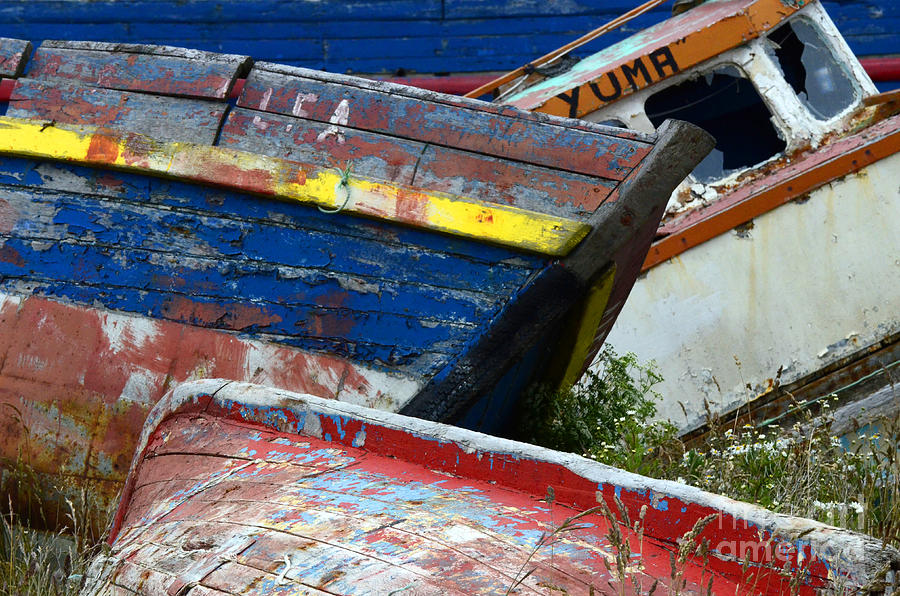 Boat Graveyard Peurto Natales Chile 7 Photograph by Bob Christopher