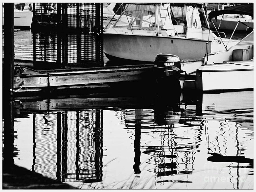 Boat Harbor Rhapsody Photograph by Carol F Austin