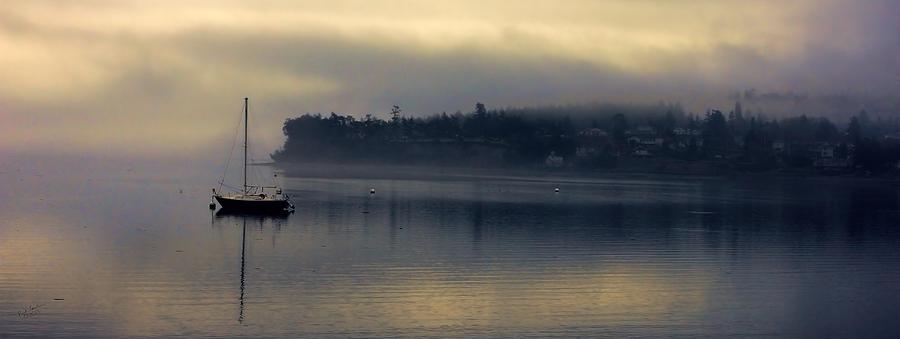 Boat in a Foggy Cove Photograph by Rick Lawler