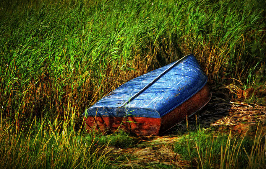 Boat in the Grass Photograph by Carl Cox