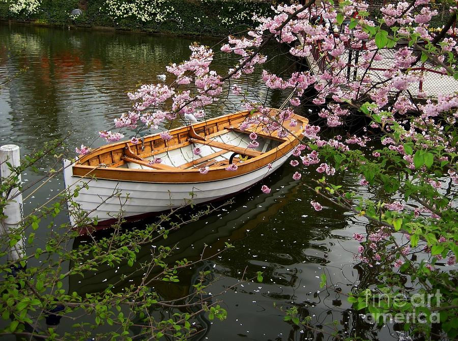 Boat in the lake Photograph by Susanne Baumann