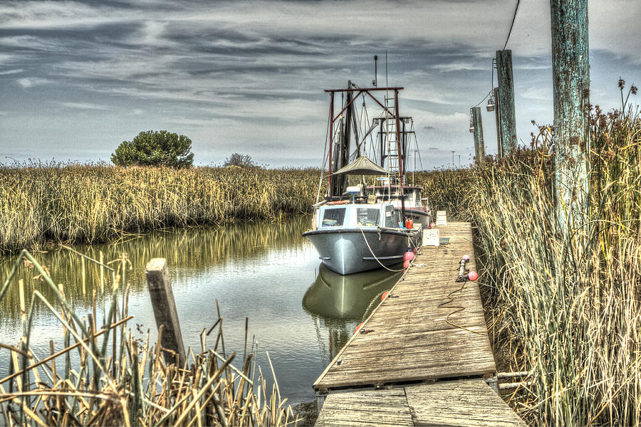 Boat In the Marsh 3 Photograph by SC Heffner