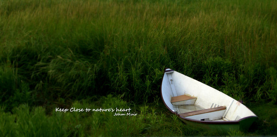Inspirational Photograph - Boat in the Marsh by Caroline Stella