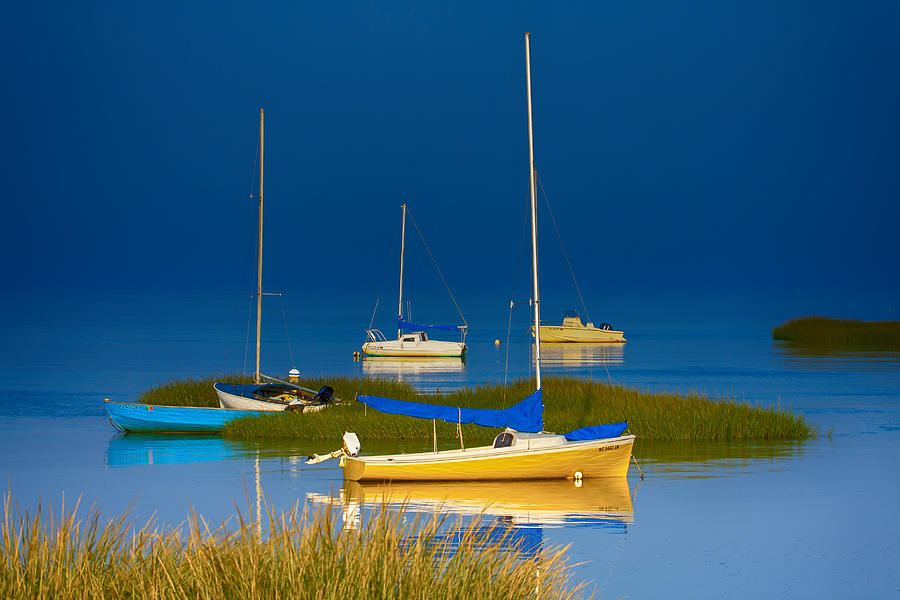 Boat Meadow Photograph by Darius Aniunas