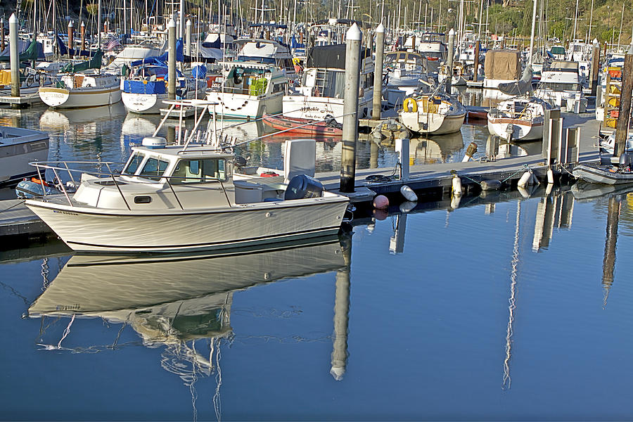 Boat Moored In Harbor Photograph by SC Heffner