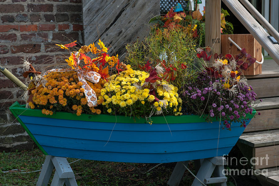 Boat Of Flowers Photograph