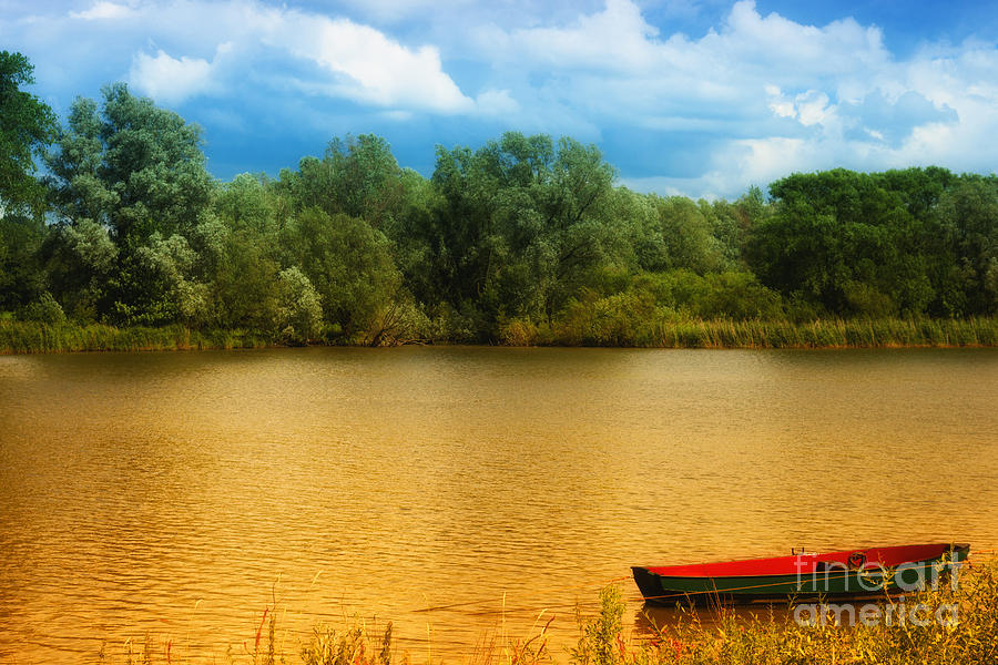 Boat on a golden pond Photograph by Nick  Biemans