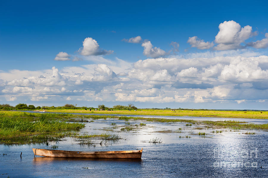 wooden boat in Biebrza wetland area landscape Photograph