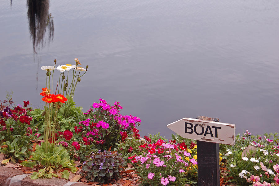 Spring Photograph - Boat by Suzanne Gaff