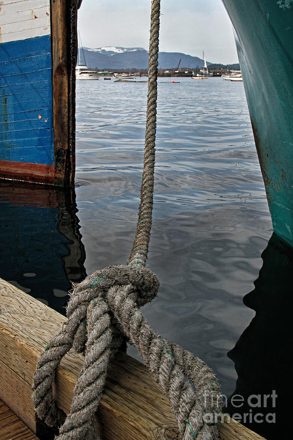 Boat tie Photograph by Inge Riis McDonald