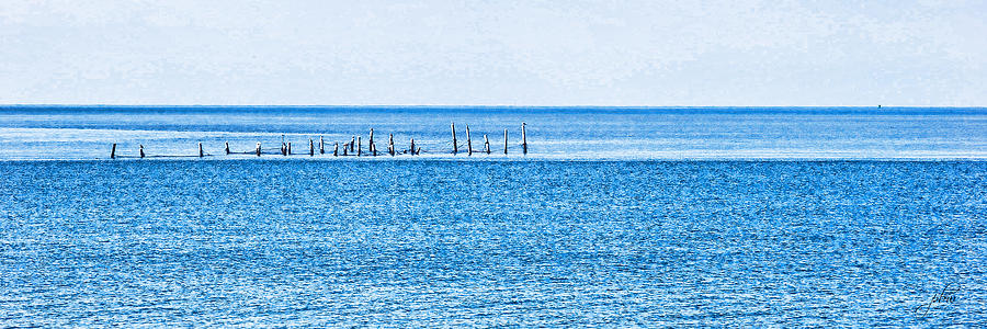 Boat Tie - Ups - High Key - Chesapeake Bay Photograph by Paulette B Wright