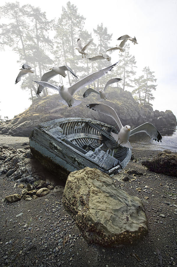 Boat wreck beached on a misty rocky shore amidst flying Gulls Photograph by Randall Nyhof