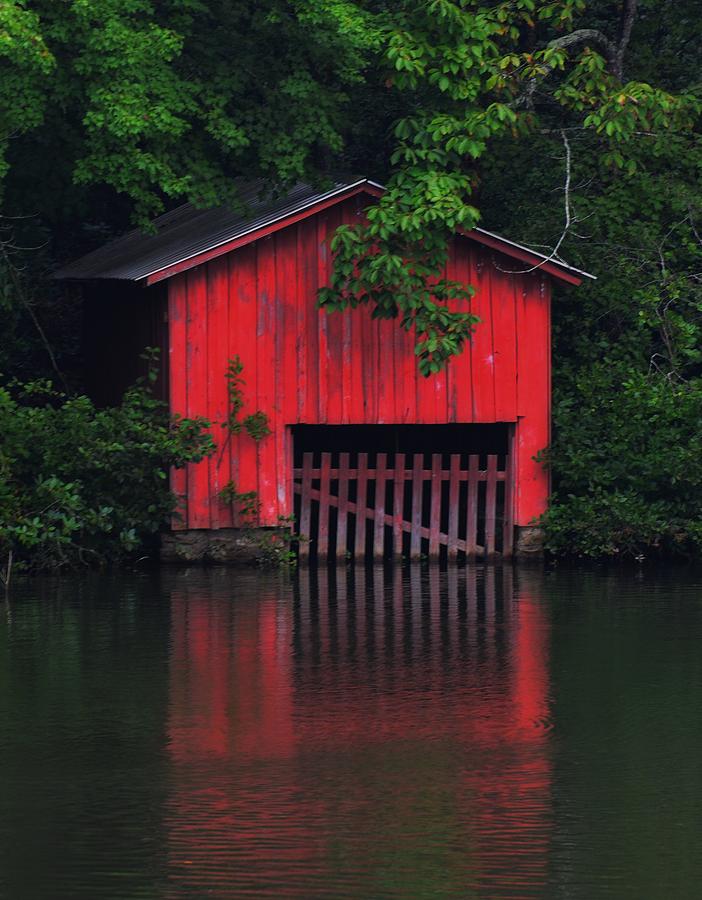 Boathouse Photograph - Boathouse in the Woods by Maria Urso