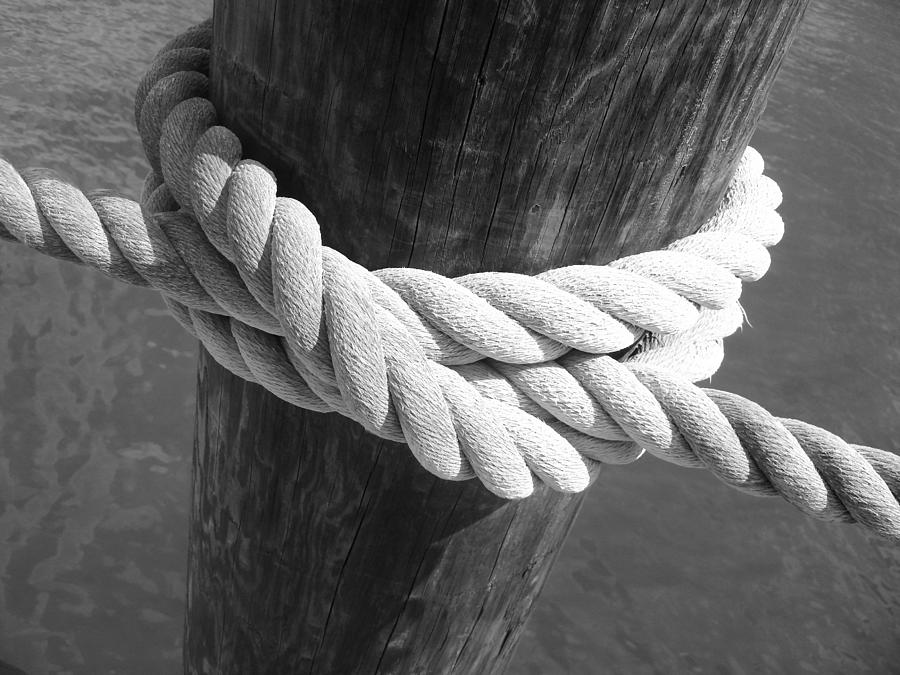 Boatmans Knot Photograph by Ellen Tully
