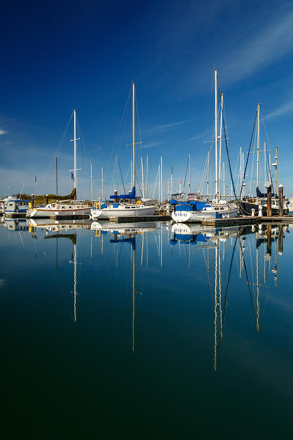 Boats And Masts Photograph by James Eddy