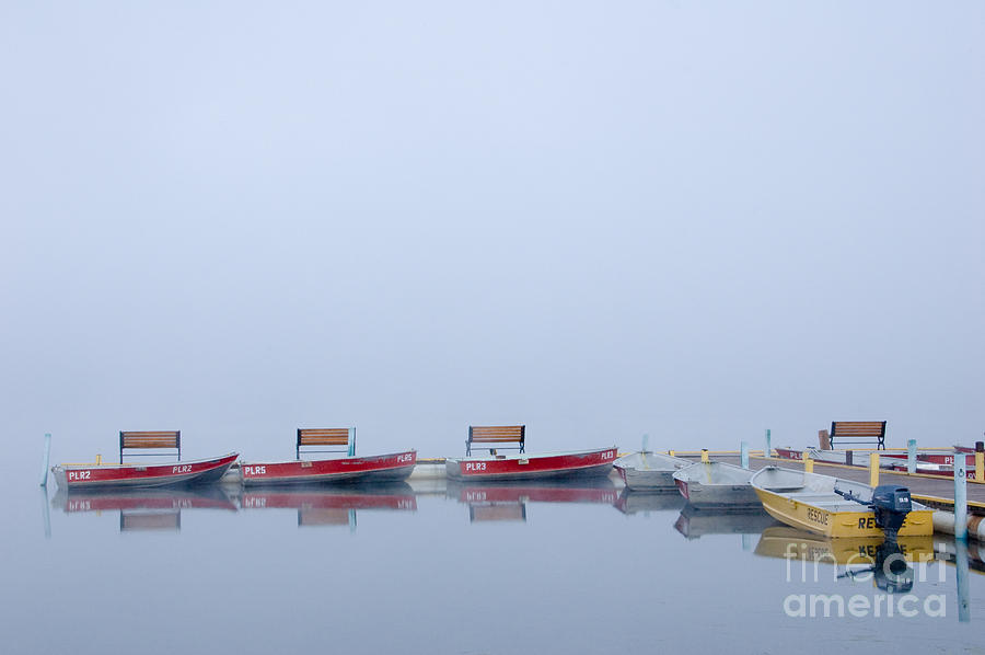 Boats at a dock Photograph by Oscar Gutierrez
