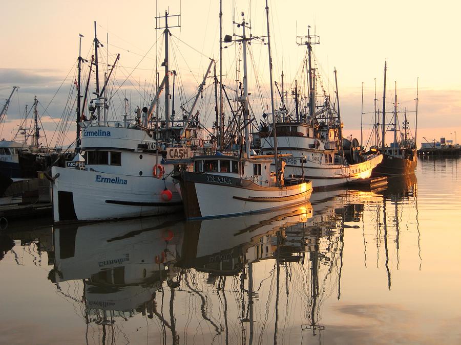 Boat Photograph - Boats at Steveston Harbour  by Shirley Sirois