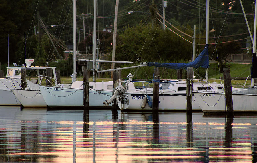 Boats at the Marina Photograph by Carolyn Ricks