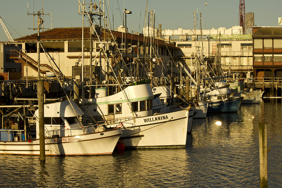 Boats at the Wharf Photograph by Bryant Coffey