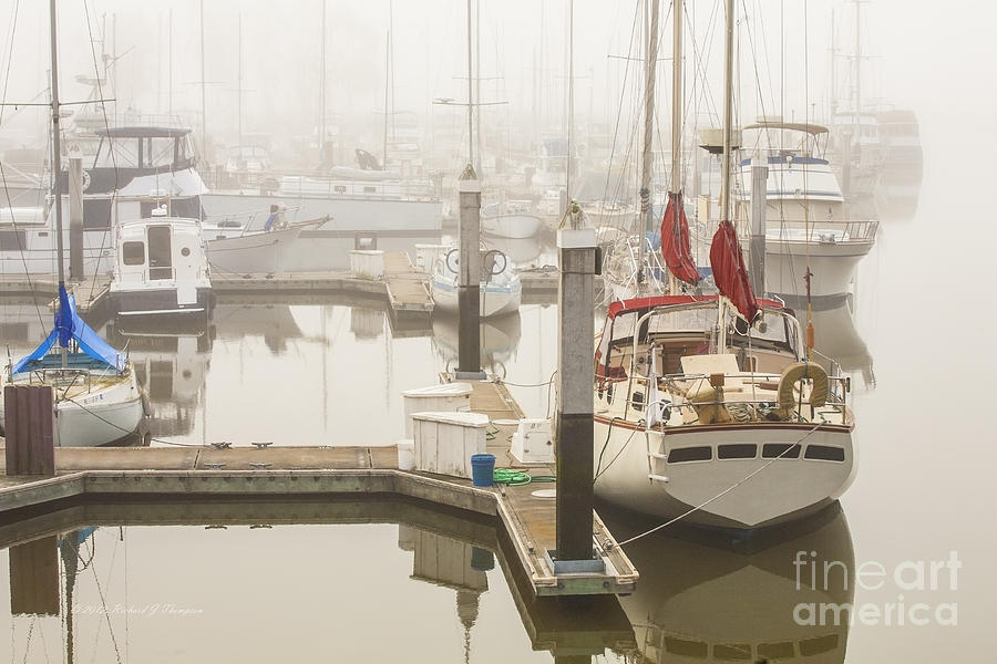 Boats Docked In The Fog Photograph by Richard J Thompson 