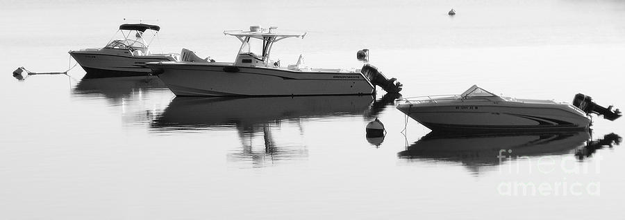 Boats Docked Photograph by Raymond Earley