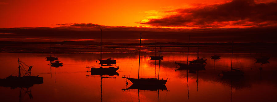 Sunset Photograph - Boats In A Bay, Morro Bay, San Luis by Panoramic Images