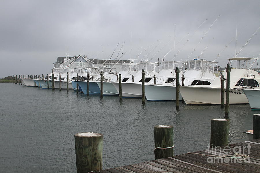 Boat Photograph - Boats in a Row 2 by Cathy Lindsey