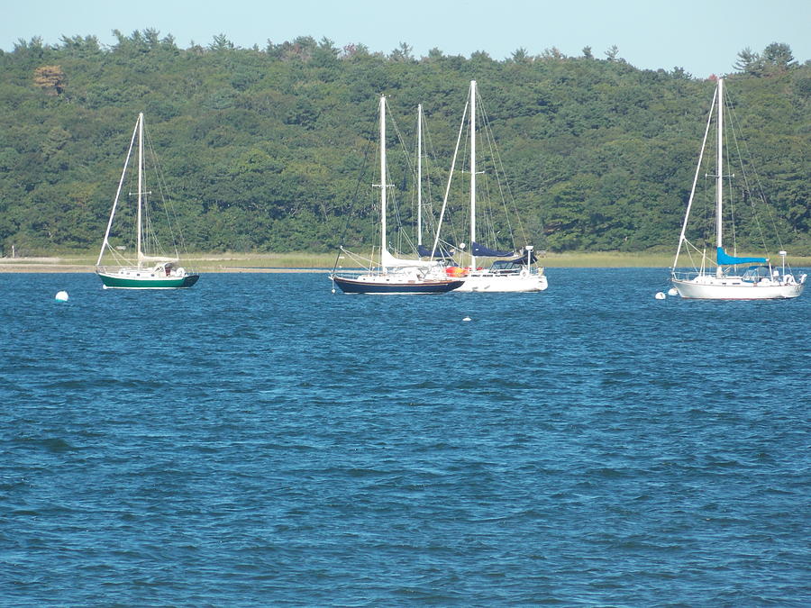 Boats in a Row Photograph by Catherine Gagne