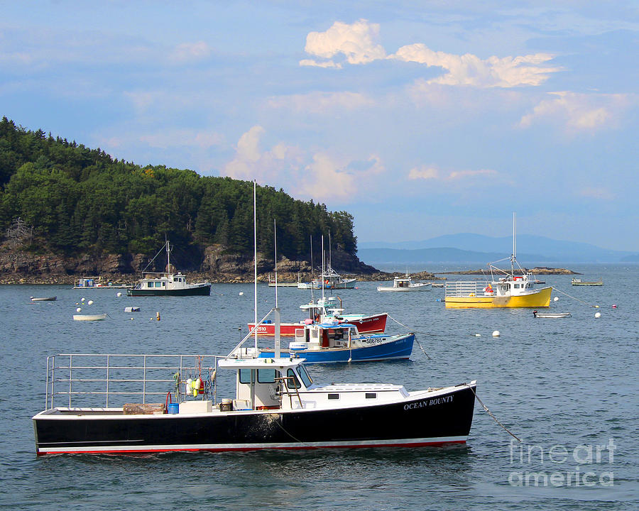 Boats in Bar Harbor Photograph by Jemmy Archer