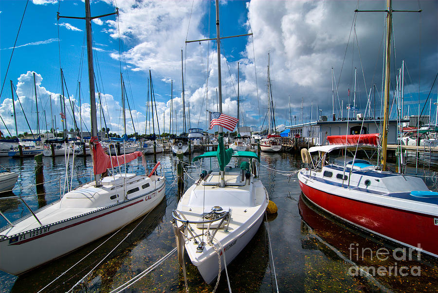 Boat Photograph - Boats in Marina Saint Petersburg Florida by Amy Cicconi