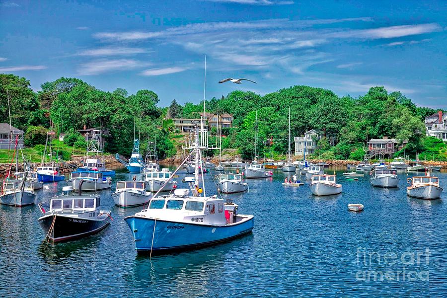 Boats in Perkins Cove - Maine Photograph by Nicola Fiscarelli