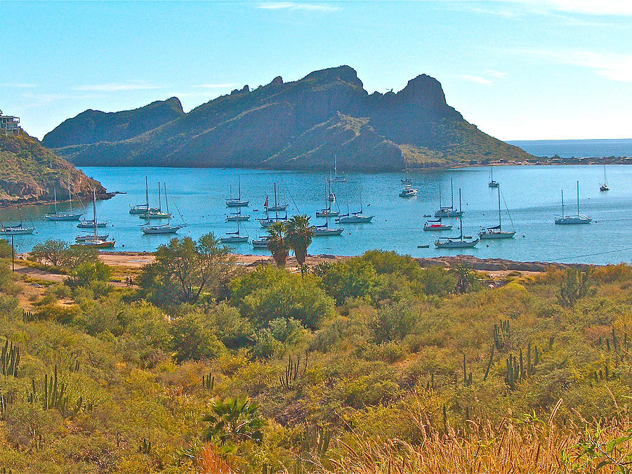 Boats in San Carlos Harbor-Sonora-Mexico Photograph by Ruth Hager