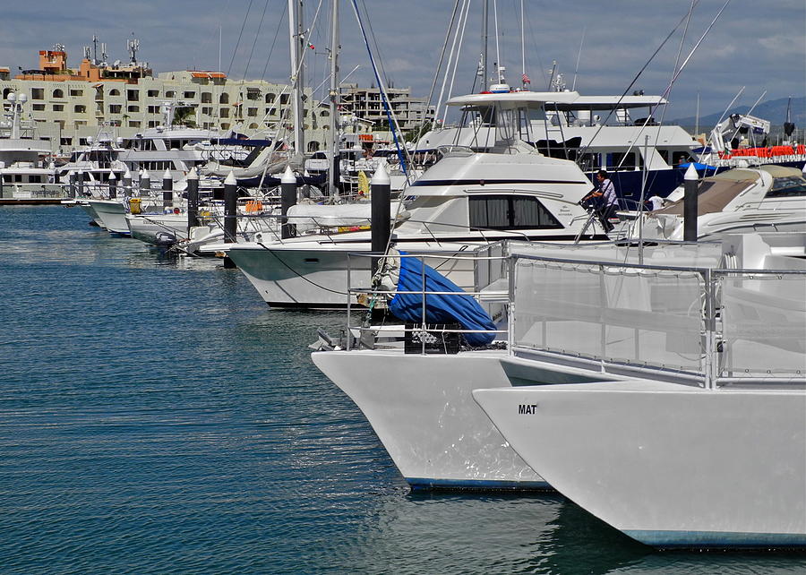 Boats in the Cabo San Lucas Marina Photograph by Kirsten Giving
