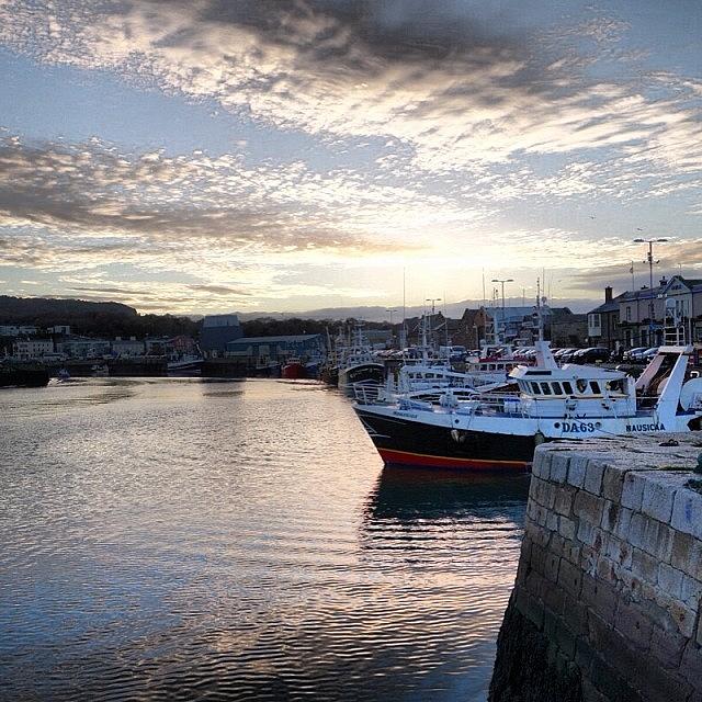 Boats In The Harbor At Howth, Just Photograph by Jordan Napolitano
