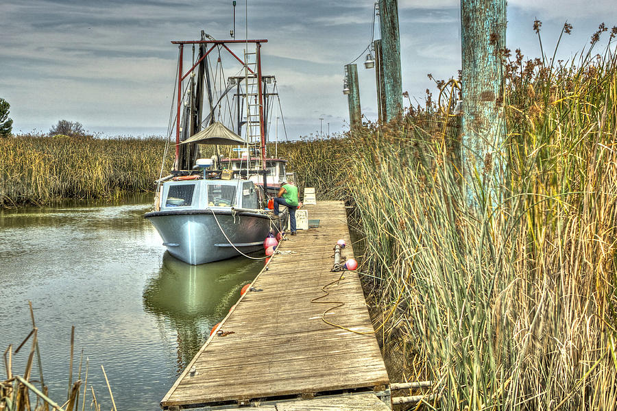 Boats In the Marsh Photograph by SC Heffner