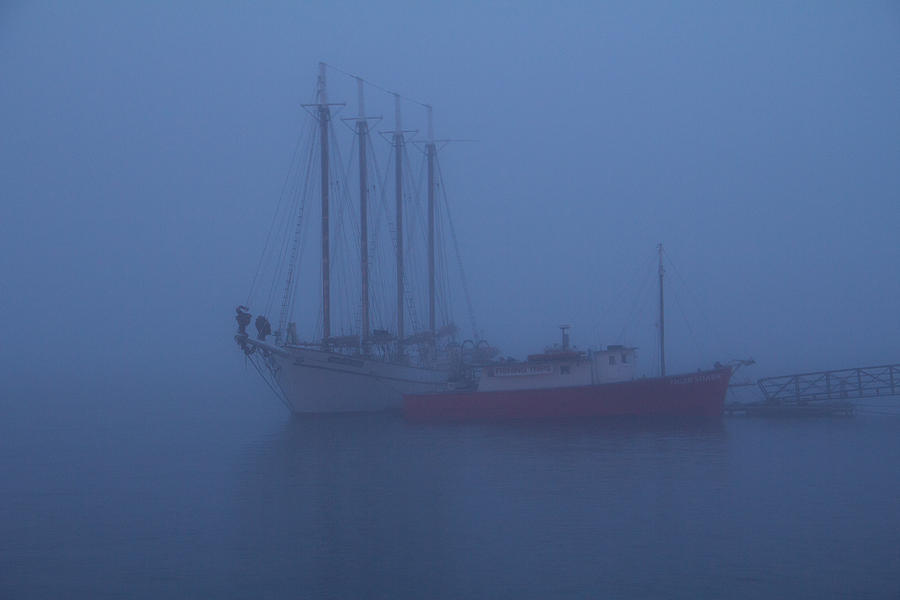 Boats In The Mist Photograph by Steven Bateson