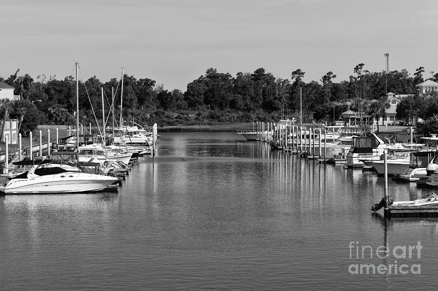 Boats Lined Up in North Myrtle Beach mono Photograph by John Rizzuto