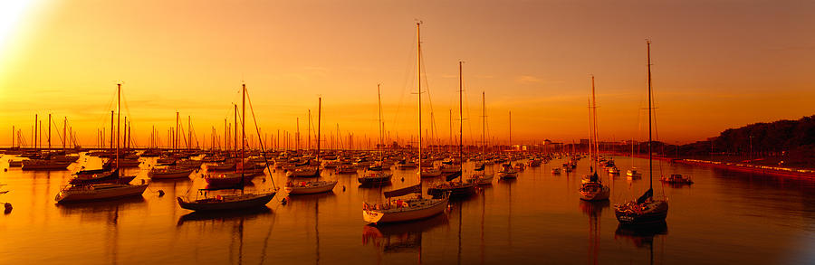 Chicago Photograph - Boats Moored At A Harbor At Dusk by Panoramic Images