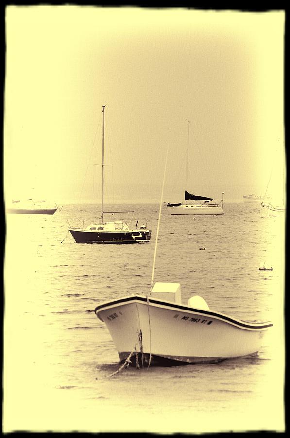 Boats Of Provincetown Photograph