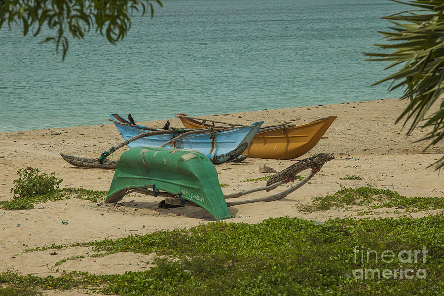 Boats on the beach in Sri Lanka Photograph by Patricia Hofmeester